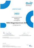 2023 1-Zert HER2 Magen ISH-1